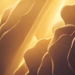 a wave of sand on the ground at sunset