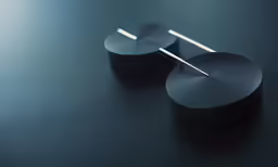 the two black circles have two small white ones on each end