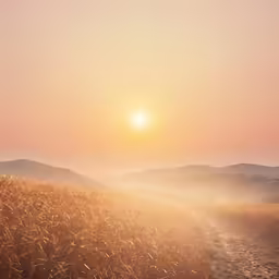 a sunset on the horizon as seen from a field