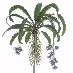 a small tree with several branches and flowers hanging from it