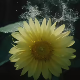 yellow flower in the water with bubbles coming from it