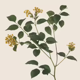 a small yellow flower sitting on top of a wooden table