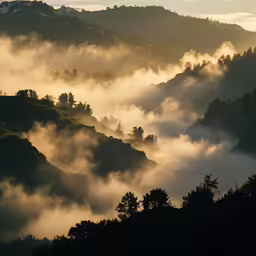a large area of mist or fog covers a valley
