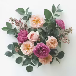 a bunch of pink and red flowers with green leaves