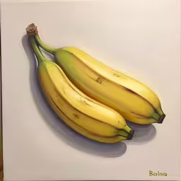 an image of two bananas on the wall
