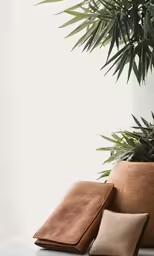 a plant with two pillows on it