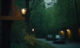 two cars drive down a small, wooded road at night