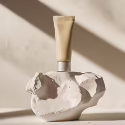 there is a small white rock that has a brush in it