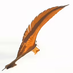 a large bird flying through the air with wings spread out