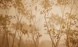 a blurry photo of leaves in a tree line
