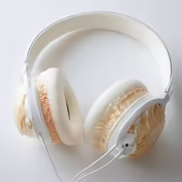 closeup of closed up ear muffs sitting next to each other