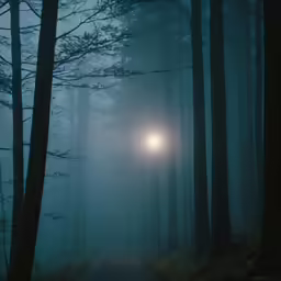 an illuminated lamp in the middle of a forest