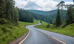 a curved road on a hilly hill with some trees in the distance
