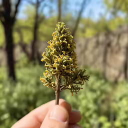 a hand is holding out a tiny yellow flower