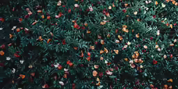 a very long green tree with small red and yellow leaves