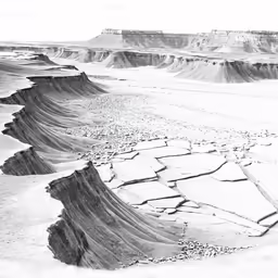 the landscape is covered with white snow