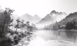 the black and white photo shows fog and trees