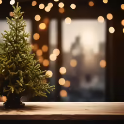 a small pine tree on a table by a window