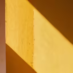 sunlight is casting on the wall with a vase