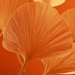 the stem of a large leaf is bright orange