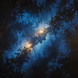 the lights on an outdoor street light through tree branches at night