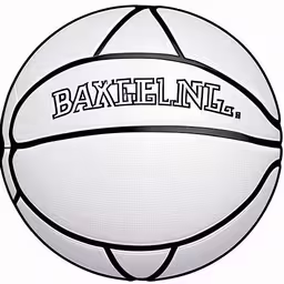 basketball featuring a team name and a ball that is written on it,a white basketball ball with the words dakell n l e written on it,the ball has the word daniels in it,basketball with the name danielle, inside black lettering on the side of it,an image of a basketball with a name on it