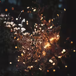 a bush with many lights in the background