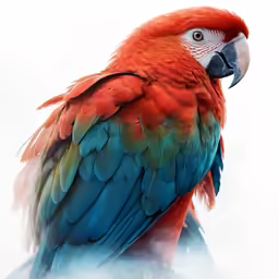 a blue, green and orange bird with red feathers