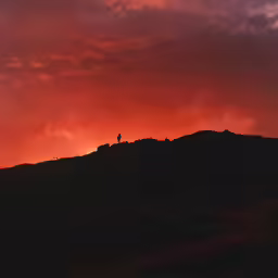 a silhouette against a red and black sky shows sheep on a hillside