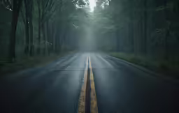 an empty road in the middle of the woods