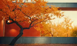 a tree that is sitting by a building