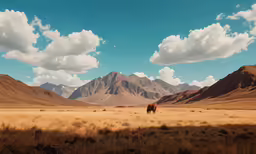 a cow in the middle of a desert field