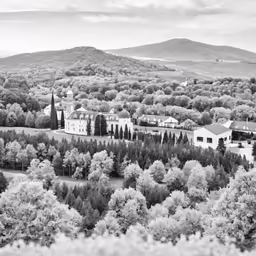 a small town surrounded by wooded trees near mountains