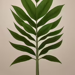 a close up of a single green plant with lots of leaves