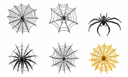 the different spider web design on a white background