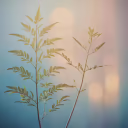 two branches of a plant against a blue background