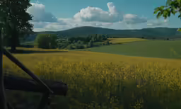 a field that has some trees on it