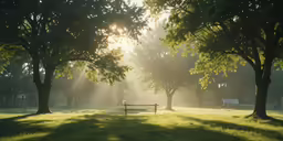a bench is shown in a park as the sun shines through trees