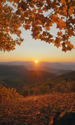 a sunset is behind some trees on a mountain
