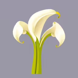 the three flowers in the green stem are white