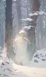a winter scene, with snow covered trees in the background