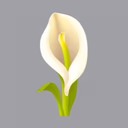 an image of a flower with one stem out