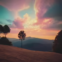 the trees are on the hill with the sunset
