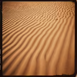 a big sandy field with several sand dunes
