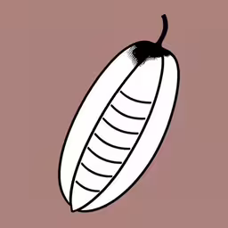 a large piece of fruit with a stem hanging off of it