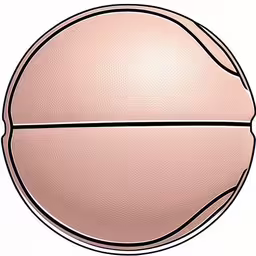 an image of a basketball or basketball ball on a white background,an image of a basketball in perspective