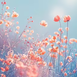 an image of some flowers blooming outside on a sunny day