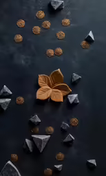 a flower that is laying next to some rocks