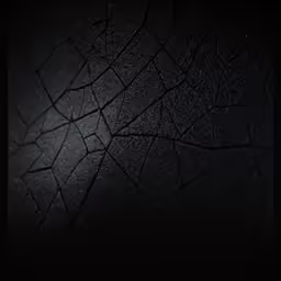 the textured surface in black and white
