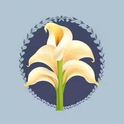 flowers are on display with a blue background